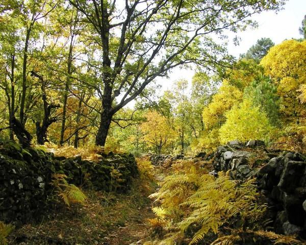 Villa Sierra De Gata Santibanez el Alto Buitenkant foto